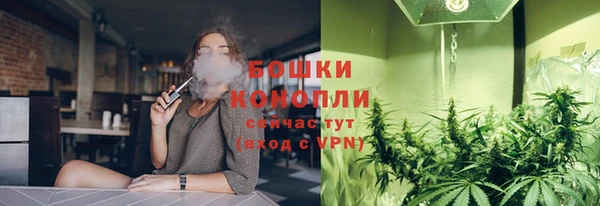 шишки Верея