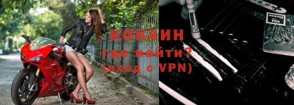 шишки Верея