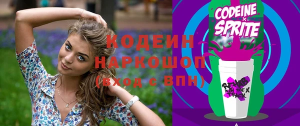 шишки Верея