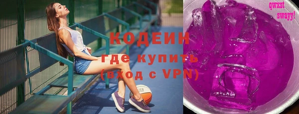 шишки Верея
