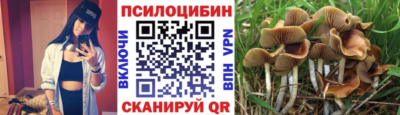 Галлюциногенные грибы Psilocybine cubensis  Кочубеевское 